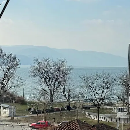 Vuk * Donji Milanovac